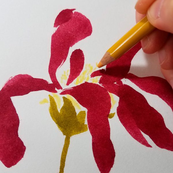 Lepetitsalon-MARION_HAMAIDE_2026_Encre